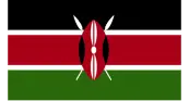 flag2
